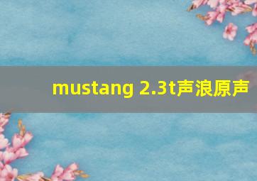 mustang 2.3t声浪原声